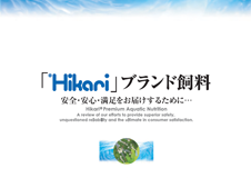 一般のお客さま向けダウンロード