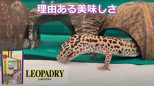 レオパドライ＜ヒョウモントカゲモドキ（レオパ）＞｜両生類・爬虫類のエサ｜キョーリン【Hikari】