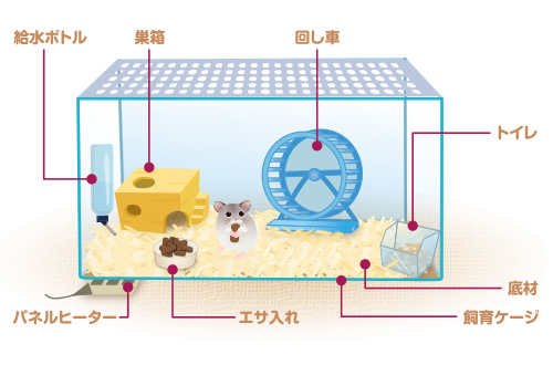 ハムスターの飼育方法＜ハムスター,お手入れ,繁殖,病気,エサ