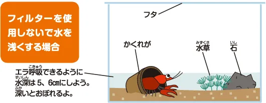 ザリガニの飼育方法＜ザリガニ,飼育,繁殖,エサ＞｜ザリガニの飼い方