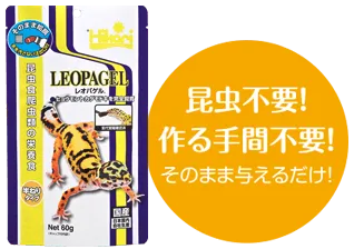 ヒョウモントカゲモドキ（レオパ）の飼育方法＜レオパ,飼育,エサ,水