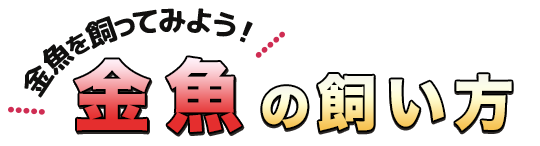 金魚の飼育方法 金魚 水槽 飼料 餌 エサ 金魚の飼い方 キョーリン Hikari