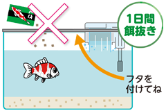 錦鯉の飼い方 飼育方法 錦鯉用飼料 餌 エサ キョーリン