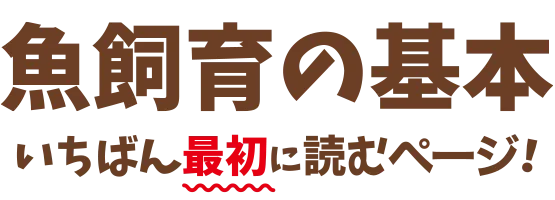 魚飼育の基本　いちばん最初に読むページ！