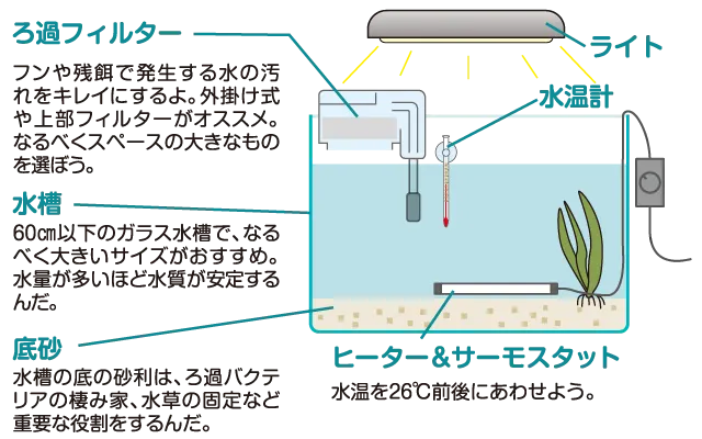 水槽のセット方法