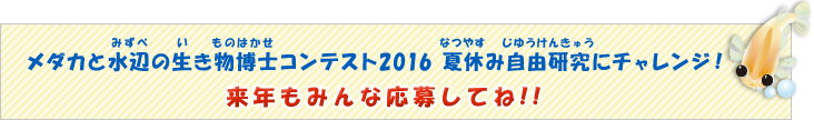 トピックス 自由研究 メダカと水辺の生き物博士コンテスト16 メダカコンテスト16