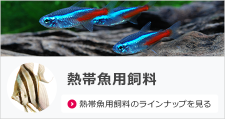 商品情報＜錦鯉,金魚,熱帯魚,メダカ,小動物,鳥,爬虫類,両生類＞｜餌