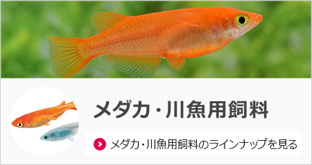 商品情報＜錦鯉,金魚,熱帯魚,メダカ,小動物,鳥,爬虫類,両生類＞｜餌