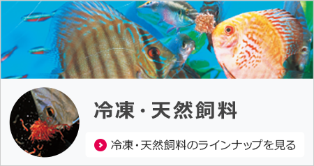 商品情報＜錦鯉,金魚,熱帯魚,メダカ,小動物,鳥,爬虫類,両生類＞｜餌