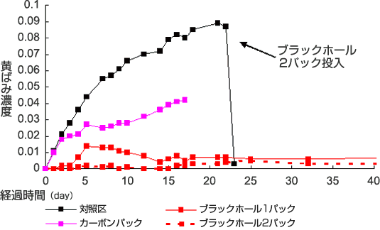 ブラックホール＜観賞魚,鑑賞魚,熱帯魚,金魚,メダカ,アクアリウム,水草