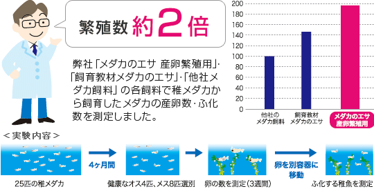 キョーリン トピックス 繁殖数約2倍 メダカ産卵繁殖用の実力