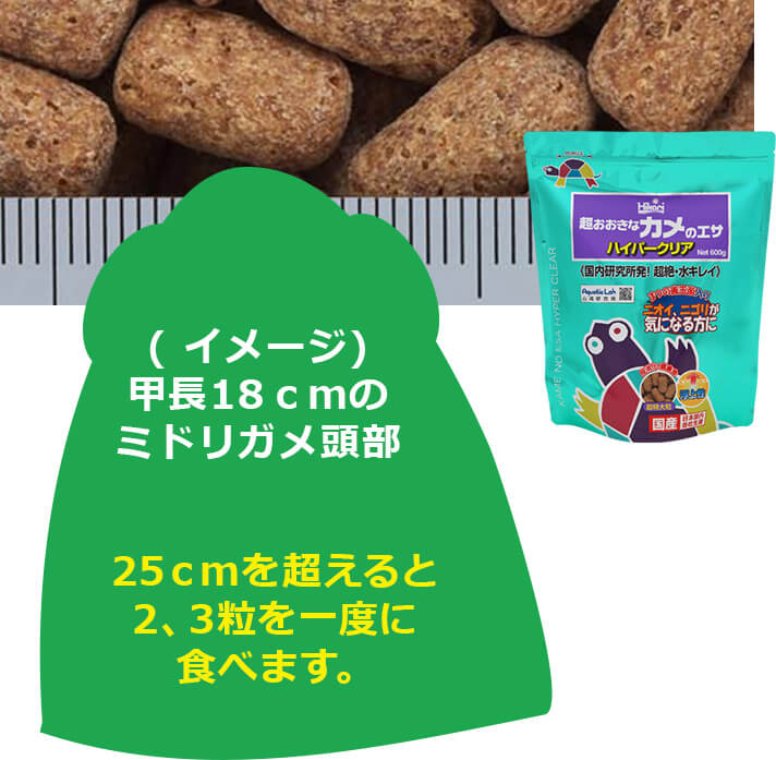 おおきなカメのエサ/超おおきなカメのエサ ハイパークリア＜18cm以上の