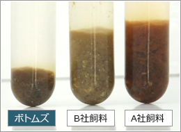 クレストフリーク ボトムズ＜ポリプテルスなど大型底棲肉食魚に